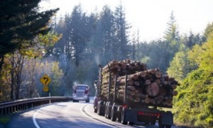 Truck with Lumber on Road